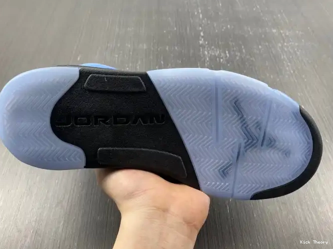 Kicktheory Air UNC 5 Jordan DV1310-401 0530